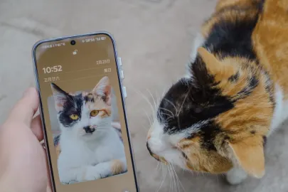 Vesper Kasino Apl Mudah Alih